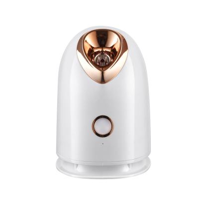 China YOUMAY Portable Face Steamer Mist DEEP CLEANING Facial Warm Humidifier for sale