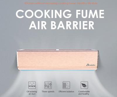 Chine 2025 Barrière d'air pour la porte de la cuisine ménagère Séparer la fumée de cuisson Taille de 0,7 m à 2 m Rideau d'air pour la maison à vendre