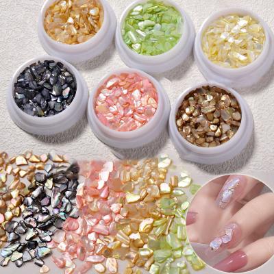 China 3d Nail Art DIY Decoration Factory Supplier 6 Boxes Irregular Seashell Slices Seashell Nail Glitter Glitter For 3D Nail Art Design DIY Decorations for sale