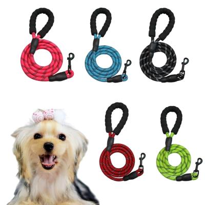 China Sublimation DETACHED Personalized Nylon Flexi Rope Dog Training Leash For Large Dog for sale