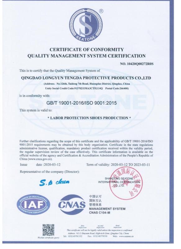 ISO9001 - Qingdao Longyun Tengda Protection Products Co., Ltd.