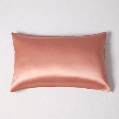 China Wholesale Custom Luxury 100% Sheer Mulberry Silk Anti Dust Mite Pillow Case for sale