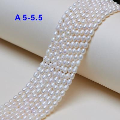 China DIY For Jewelry Making 5 - 5.5mm A Rice Loose Beads Pearls Chinese Freshwater Pearls For Necklaces for sale