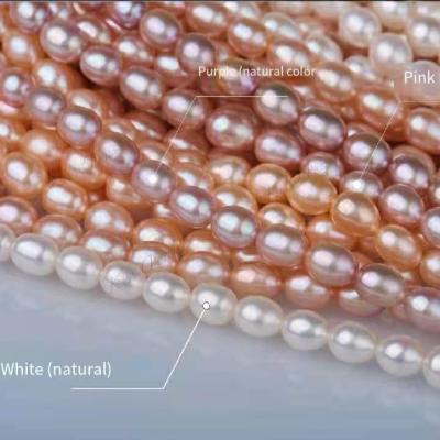 China Water Colored Pearl Bracelet Pearl Charm Non-fading Bracelet Freshwater Pearl Necklace Rice Pearl Bead Bracelet for sale