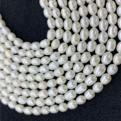 China Jewelry Making French Necklace Mother Set Near Flatback Round Natural Loose Pearl Freshwater Loose Pearl for sale