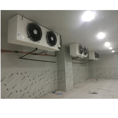 China Building material shops royal modular construction project cold storage room for fruit/onion/fish/vegatable/meat en venta