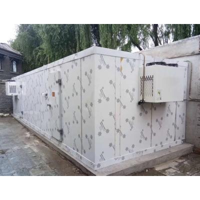 Cina Building Material Shops Long Time Service Modular Small Cold Storage Room With Monoblock Unit in vendita