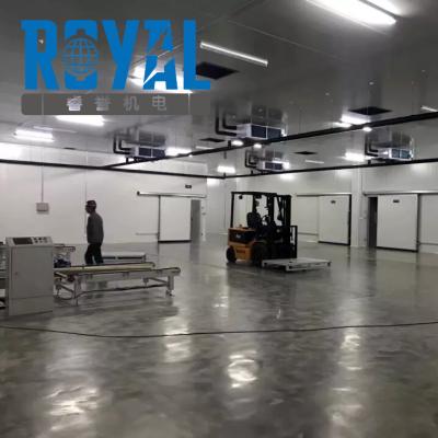 Cina Building Material Shops Royal Factory Hot Sale Storage Cold Storage Room For Meat ISO ,CE Approved in vendita