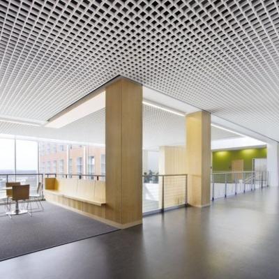 China Artistic Good Price Metal Suspended Ceiling System Decorative Ceilings Grid / Aluminum Mesh Open Cell Ceiling Ceiling For Restaurant for sale