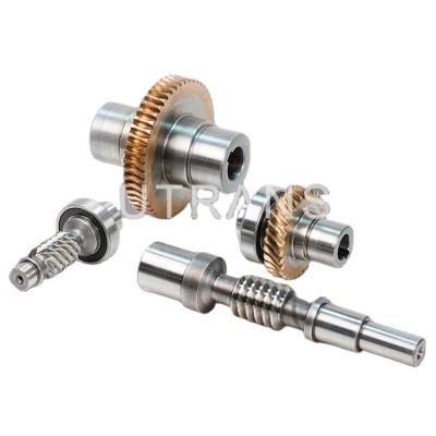 China Custom Factory High Precision Steel Worm Gear and Worm Wheel Set for sale