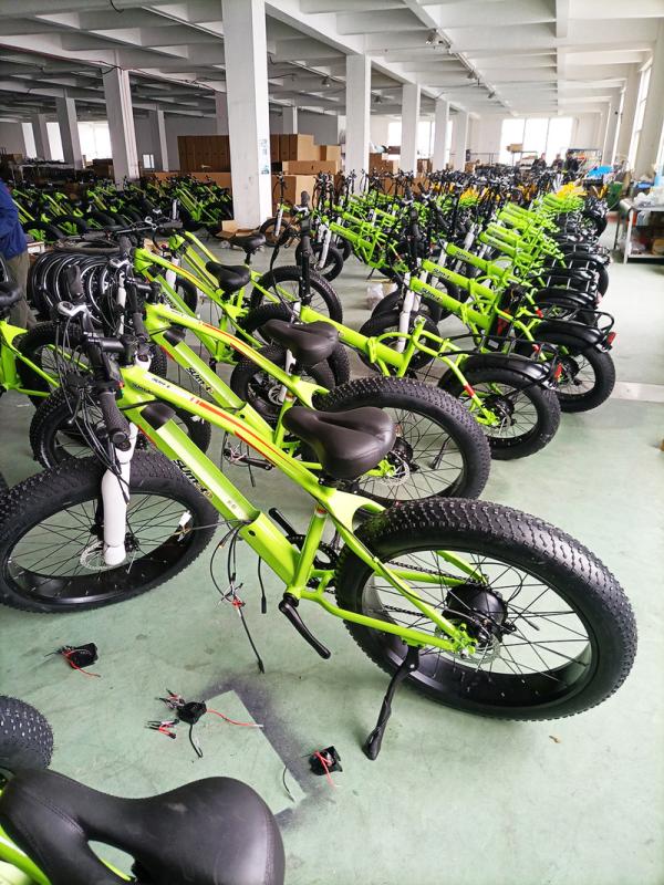 Fornitore cinese verificato - Hebei Fanghao Bicycle Co., Ltd.