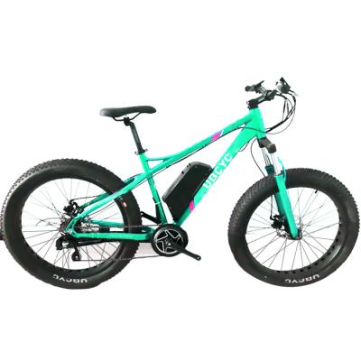 China Steel 26*4.0 750W/1000W Fat Tire Big Tire Electric Mountain E Bike/Snow Bike/Electric Bicycle With CE for sale