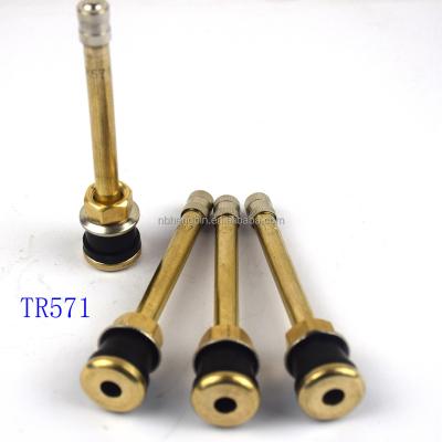 China For tire valve Clamp-in tr571 tr572 tr573 tr574 tr575 tr501 tr500 Truck Tubeless Tire Bus Break-inTubeless Tire Brass Spout for sale