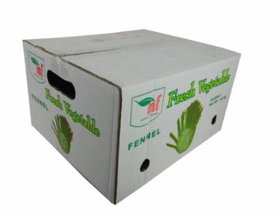 China FSC Approved Recycled Fruit Boxes , Corrugated Storage Boxes For Fresh Fruit Customized Size for sale