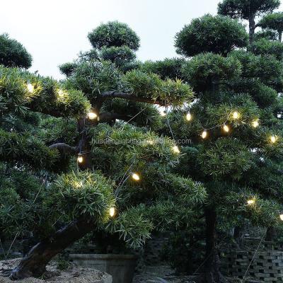 China Outdoor Ourdoor Decoration Christmas Decoration Led Meteor Light C9 for sale