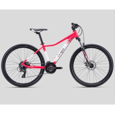 China china factory whosale steel mountain bike to importer,mountain bicycle india for sale