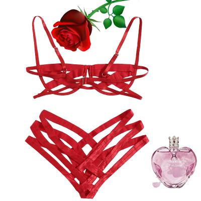 China Women's Sexy Lingerie Women's Lingerie Set Bra And Panty Cut Out Two-Piece Nightgowns for sale