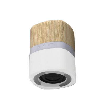 China China Manufacturer 28mm Bamboo Loudspeaker Custom Eco-friendly BT Desktop Portable Speaker for sale