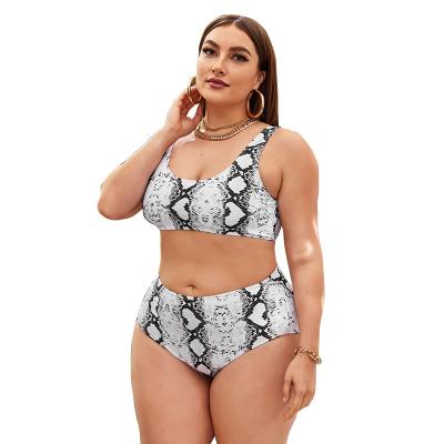 China Plus size plus size swimwear 2022 new pump snakeskin print plus size bikini TOSWIM swimwear for fat women for sale