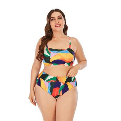 China Plus size 2022 print news sexy bikini women swimwear colorful geometric ladies private label plus size swimwear for sale