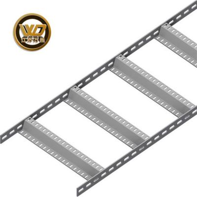 China Trunk Cable Tray Cheap Supply Professional Standard Plastic Ladder Cable Tray for sale