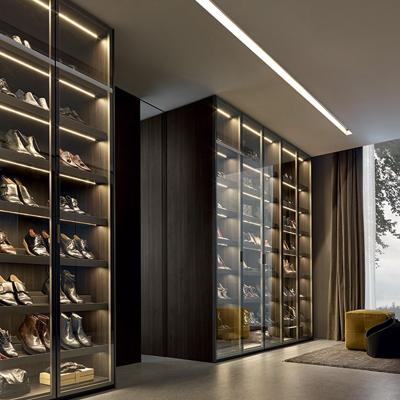 China Adjustable Shoe Panel (Others) Glass Sliding Door Wardrobe Furniture Designs for sale