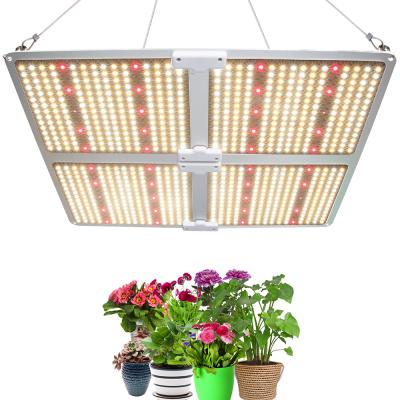 China Seed Seed Growing Good Quality Hot Selling Horticulture Quantum Dish Full Spectrum Plant Led Grow Light for sale