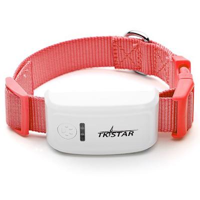 China Gprs gps mini tracking and positioning mode/TK909 collar viable real-time factory direct sales pet tracker for sale