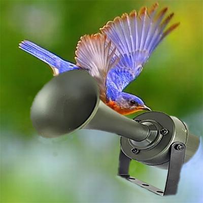 China Play Bird Sounds To Decoy And Hunting Birds Hunting Visitor 110/182 Outdoor Hunting Visitor 12V 35W CP395 LCD Display Bird Decoy Bird Decoy Bird Sounds Visitor 110/182 quail bird for sale