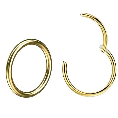 China Good Designer Hoop Ear Nose Ring Piercing For Woman Clicker Ear Piercing Jewelry Double Hugging Jewelry TRENDY for sale