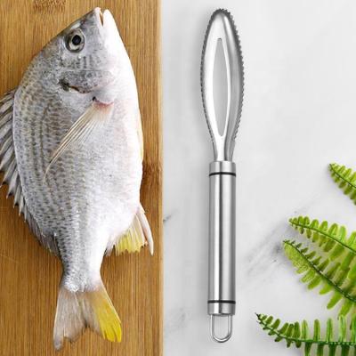 China Viable High Quality Scale Scraper Stainless Steel Handle Fish Scales Remover Peeler Scaler Remover Kitchen Scratching Tool for sale