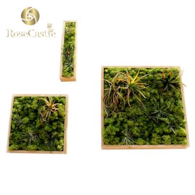 China 2019 DIY Handmade Wholesale Reindeer Lichen Moss Handmade Preserved Wall for sale