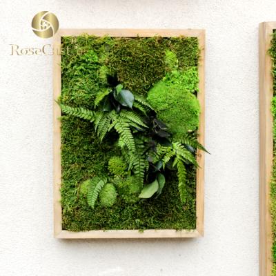 China 2019 DIY Handmade Wholesale Reindeer Lichen Moss Preserved Panel for sale