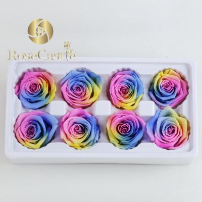 China 2019 New High Quality Natural Touch Rainbow Preserved Roses Head for sale