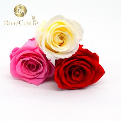 China Yunnan Natural Wholesale New Product 6cm Artificial Preserved Touch 7cm Rose Bud for sale