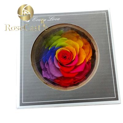 China Wholesale Natural Touch Rainbow 9cm 10cm Best Preserved Flowers Rose Head for sale