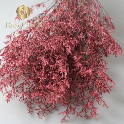 China 2019 Yunnan Natural Touch Real Touch Dried Preserved Limonium Statice for sale