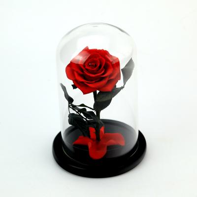 China 2019 Best Real Green High Quality Environmental Protection Preserved Rose Gift for sale