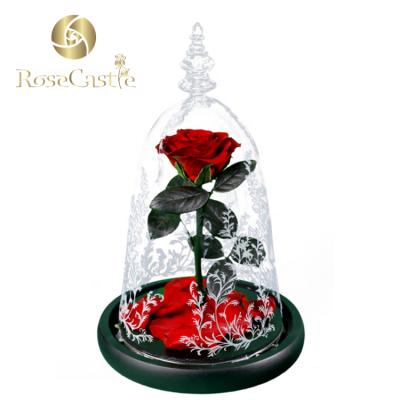 China Wholesale beauty and natural touch beast preserved mounted in the glass dome for sale