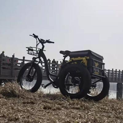 China High quality aluminum alloy lithium battery electric tricycles with powerful motor for sale