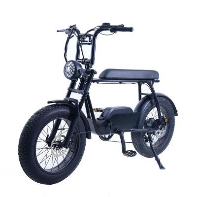 China Carbon Steel Wholesale Price 20 Inch Fat Tire 500w 800w High Power Electric Bicycle for sale