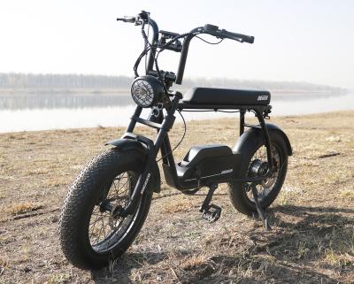 China High Quality Customized Aluminum Alloy Full Suspension Fat Tire Electric Bicycle for sale