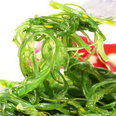 China Nutritious Wakame Seaweed Pickled Seaweed Salad for sale