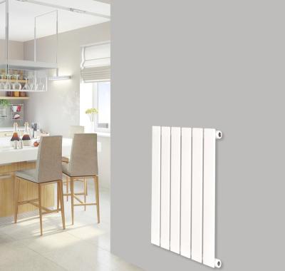 China Modern The Latest Style Home Heating Simple Designer Hot Item Radiators for sale