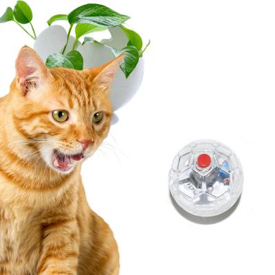 China 2020 New Design Viable Cat Ball Electronic Clear Plastic Interaction Flasher With Button for sale