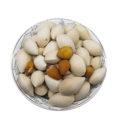 China Ginkgo Smell Exclusive Sales Dry Oval Shaped Sweet And Slightly Bitter Nut for sale