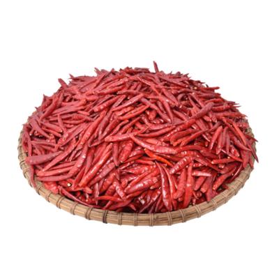 China Dry 2021 high quality varieties of new chilli wholesale different goods of red chilli and dry chilli for sale