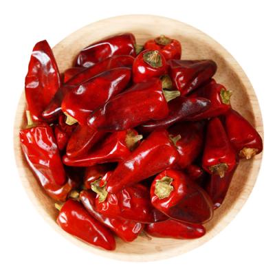 China Wholesale High Quality Spice Spice Cone Pot Bottom Bullet Dry Hot Chili Pepper for sale