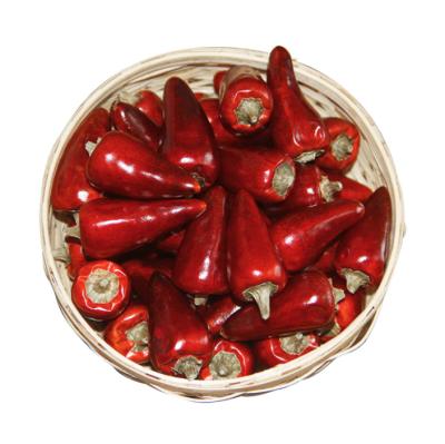 China Bulk Bulk High Quality Spice Red Pepperi Cone Dried Single Seasoning Seasoning for sale