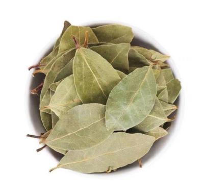 China Dry Hot-selling Cinnamon Leaf Flavor and Fragrance Seasoning Bay Leaf Wholesale for sale